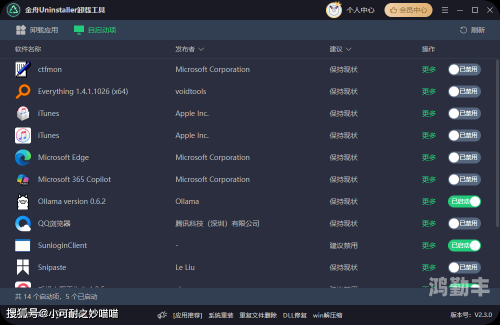 流氓软件下载免费下载永久安装流氓软件下载，免费下载永久使用，你需要知道的一切