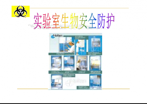 折磨实验室折磨实验室，探索科学边界的挑战与突破