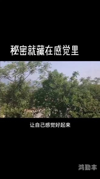 黑暗中的正能量，探索INDEX.PHP的秘密-第2张图片