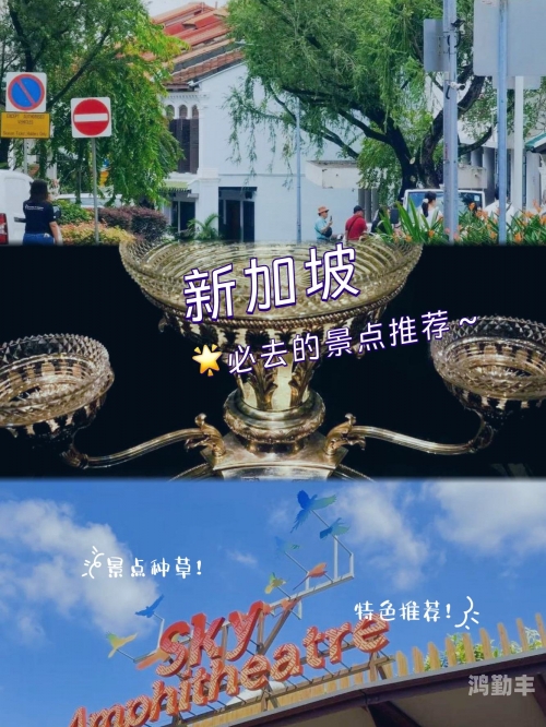 中文天堂在线最新版官网的探索与体验