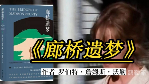 成全看免费观看完整版动漫成全之梦，免费观看完整版，让生活更美好