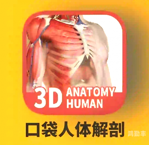 七七人体片七七人体，探索人体奥秘的深度之旅-第2张图片