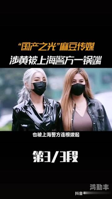 精品麻豆刷传媒AV国产精品麻豆刷传媒AV国产的魅力与影响-第3张图片