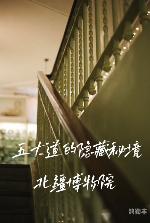 穿越之旅，JY的能量与阮甜的生存之道
