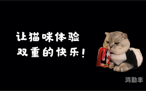 好男人影视，在线观看与下载体验的双重享受-第3张图片