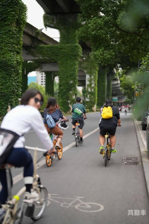 探索多元果蔬的魅力——丝瓜、茄子、草莓与榴莲的在线视频之旅