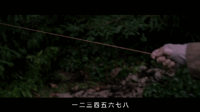 雨后小故事 - 一份珍贵的 GIF 回忆-第2张图片