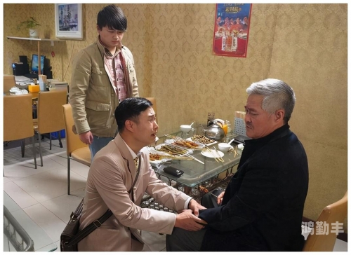 东北笑星网与四平青年，笑谈中的地域文化与青春风采