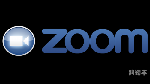 Zoom云会议，现代企业协作的革命性工具-第2张图片
