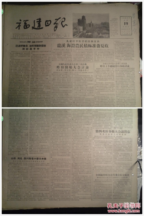 新版金银瓶，1至51956的魅力与价值