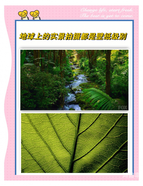 万有引力1v6h万有引力下的宇宙奥秘，1v6的探索之旅-第3张图片