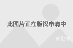 欧美动物交ideos欧美动物交影片的探讨与解析-第2张图片
