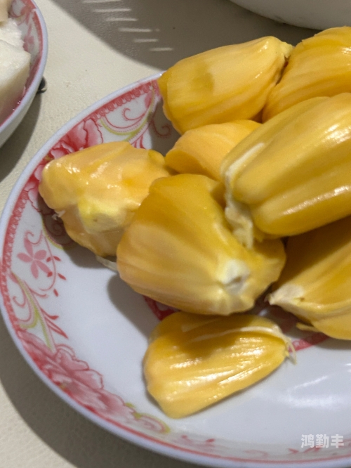 菠萝菠萝蜜高清视频全部菠萝菠萝蜜高清播放视频免费，探索网络视频新体验-第3张图片