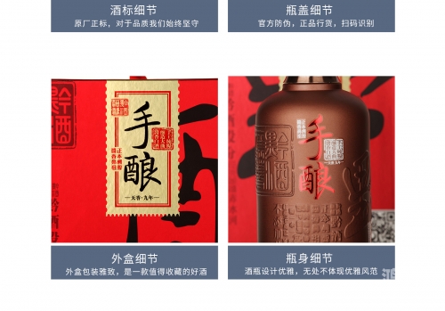 飘仙一号介绍飘仙建站，打造独特网站，引领数字时代新潮流-第2张图片