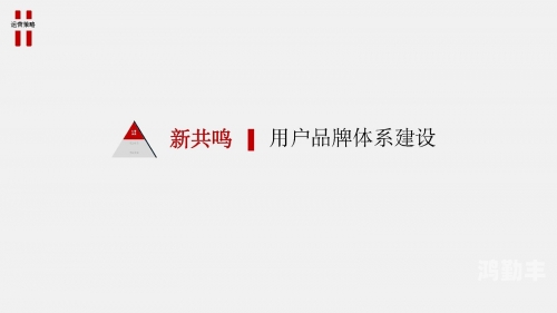 网站推广营销运营方式网站推广的秘密武器——DXM-第1张图片