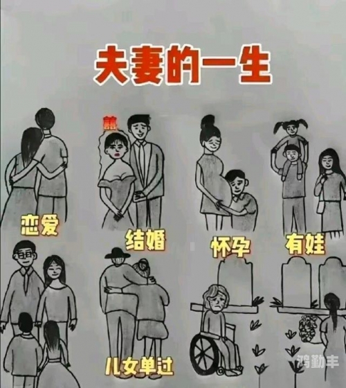 人与马相配会生孩子吗人与马相配，共舞自然的和谐旋律-第1张图片