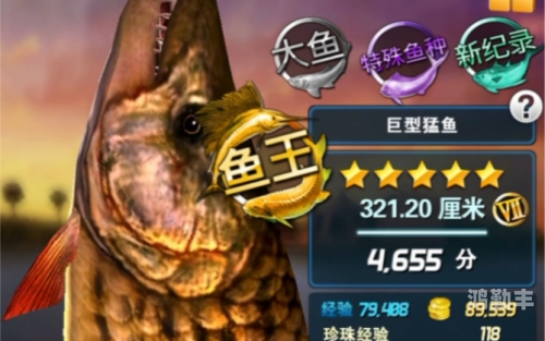 钓鱼发烧友的进阶攻略-第3张图片
