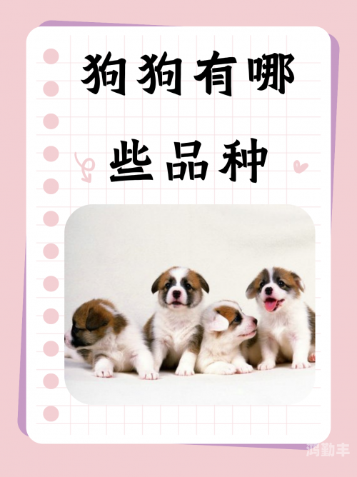 狗狗又烫又大又长狗狗的独特魅力，又烫又大又长的独特风采