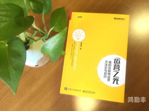 黄书网，网络文化的双刃剑-第1张图片