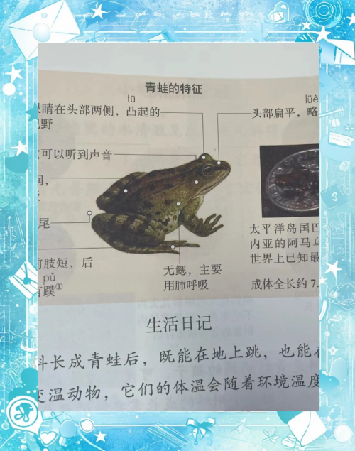 秋葵 榴莲 樱桃 小蝌蚪 破解秋葵榴莲樱桃与小蝌蚪的奇妙视频之旅-第3张图片