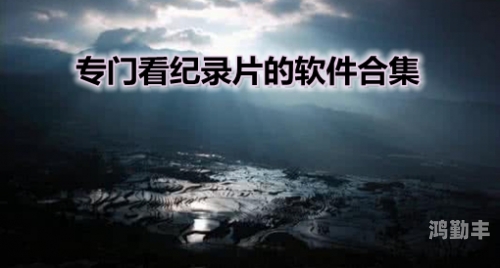 XVDEVIOSXVdeviosBBChdXVDEVIOS的魅力，探索与BBC的奇妙交汇-第2张图片