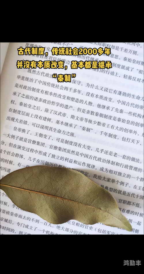 命令与征服，探索权力与决策的交汇点-第3张图片