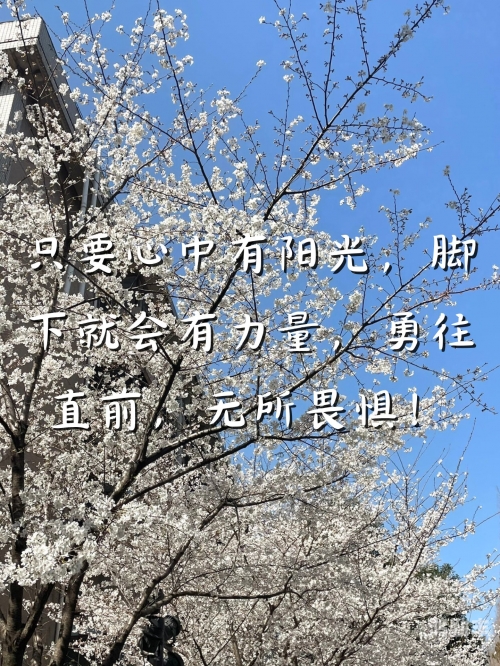 勇往直前的力量——探索よっしゃ的奥秘
