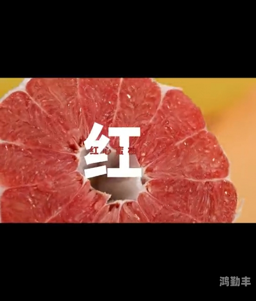 蜜柚在线观看免费高清官网蜜柚在线观看免费高清官网——畅享影视盛宴的绝佳选择