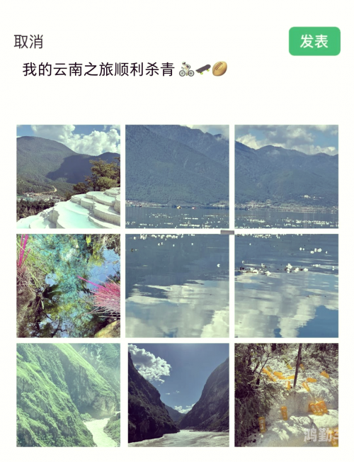 绿野奇缘40，新篇章的探险之旅
