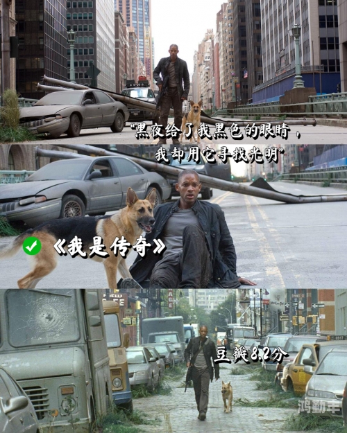 欧美黑人文化中的性爱观念与生活方式探讨-第2张图片