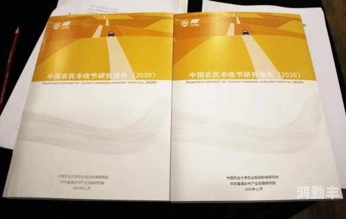 国产爱搞网站在线尤国产爱搞，探索与发展的故事-第1张图片