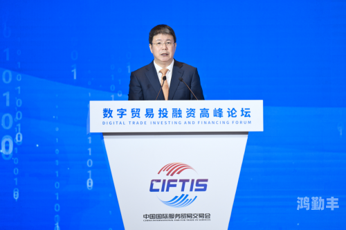 59gan59gan，探索数字时代的创新力量