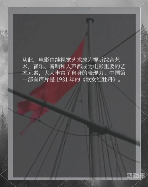 日本AA免费电影，探索电影艺术的全新体验-第2张图片