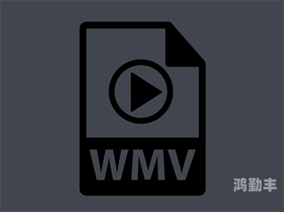Vagaa资源用什么播放器？-第2张图片