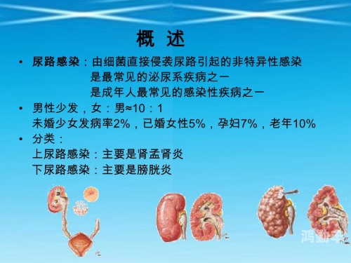 成年男性之间健康互动的探讨——避免涉及不恰当内容
