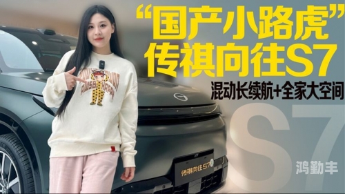 国产视频的魅力——黄老大爷的粗大硬核体验