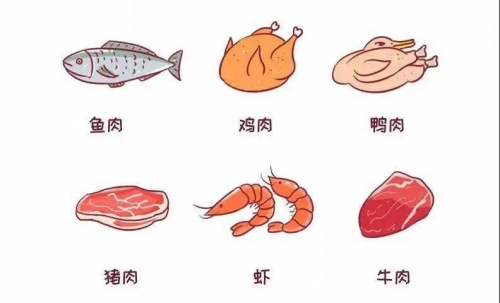宝宝成长记，腿部的成长与扇贝的诱惑-第1张图片