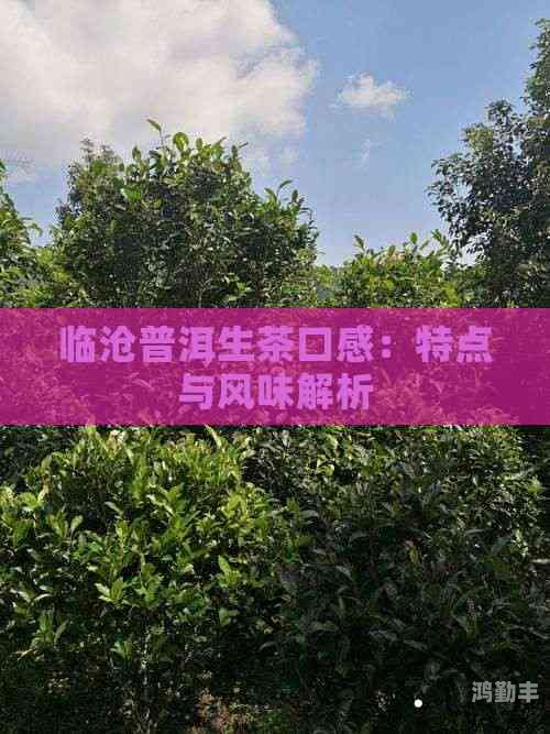 精产一二三产区，深入解析各产区区别