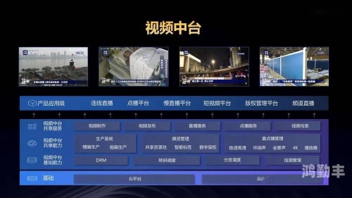 成都4片P高清完整视频的探索与分享-第3张图片