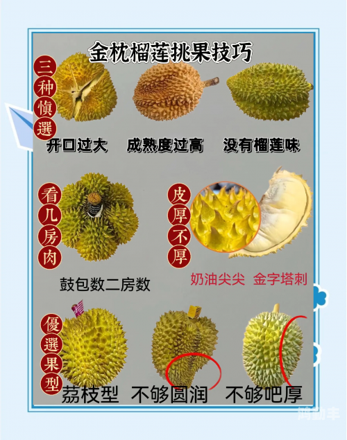 榴莲官网旧版APP下载入口详解