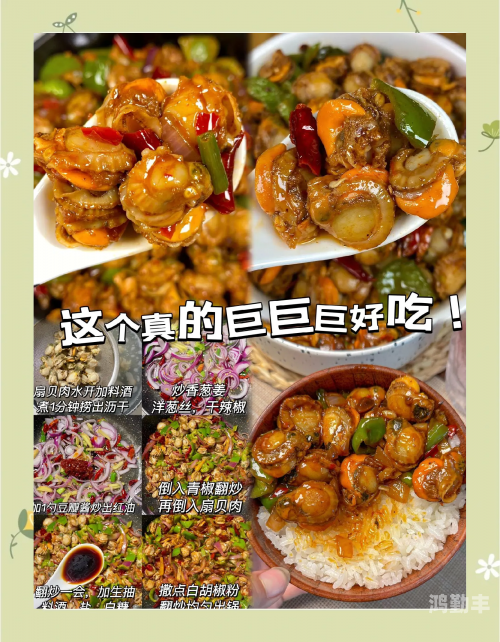 把腿扒开就可以吃到扇贝了探索美食新境界，把腿扒开，扇贝的诱惑与美食的秘密
