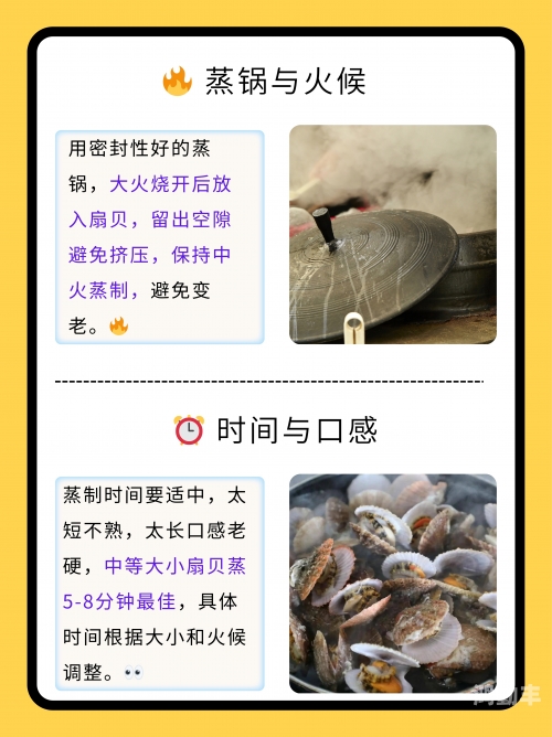 把腿扒开就可以吃到扇贝了探索美食新境界，把腿扒开，扇贝的诱惑与美食的秘密-第3张图片