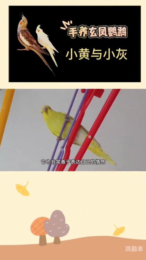 中国特级黄色大片的现状与思考