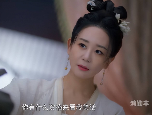 知否知否1-78集电视剧高清dvd高清DVD，视听盛宴的全新体验-第3张图片
