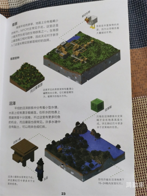 游戏特权，探索虚拟世界的独特权益-第2张图片