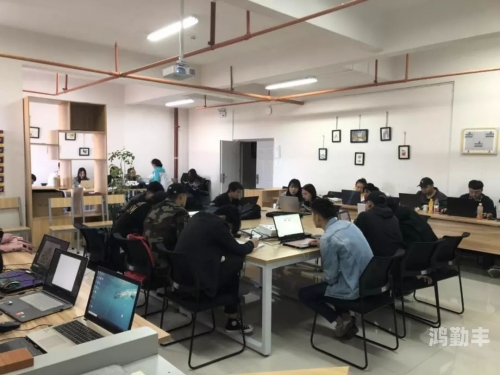 Waltr2，革新数字媒体转换的先锋-第3张图片