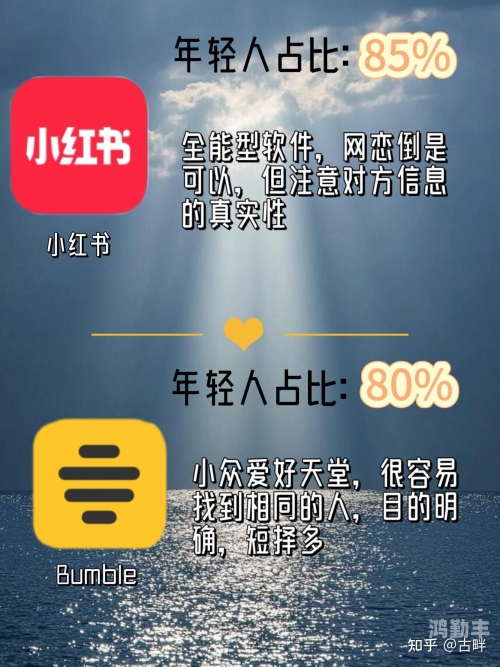 关于网络安全与不良软件——以夜里看的100多种禁用软件为例-第2张图片