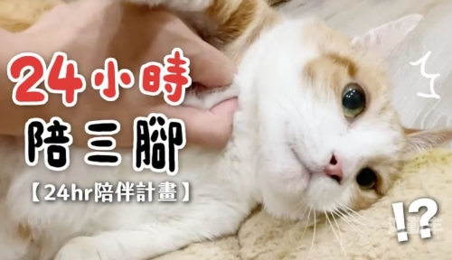 二十四小时在线观看免费更新在线黄色观看的危害与防范