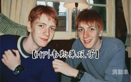 双胞胎的奇妙世界，一前一后夹心饼干般的双子-第2张图片
