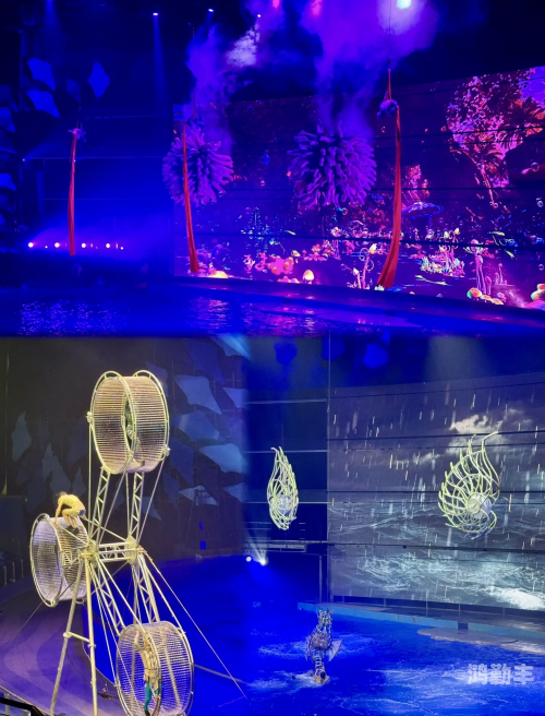 高清在线视频，共享视觉盛宴的免费体验-第3张图片